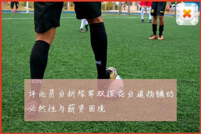 评论员分析绿军双探花分道扬镳的必然性与薪资困境